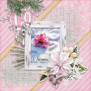 Promise
