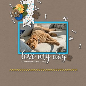 2025 January Template Challenge with J. Conlon and Sons