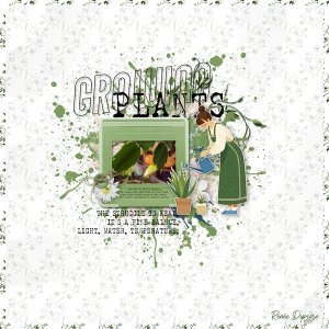 Growing Plants - In A Word challenge