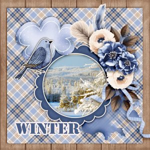 Winter114