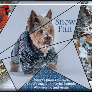 ATC 2025-002 Snow Fun