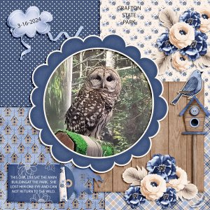 OWL-JUMP-1-25