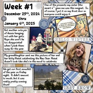 2025 Project 365 Challenge - Week 1