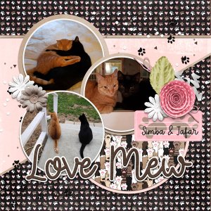 Love Mew