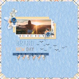 Brand-New-Day-Buzzbee