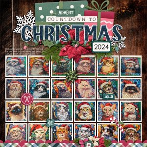 Cat Advent Calendar