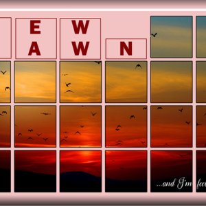ATC 2025-003 New Dawn
