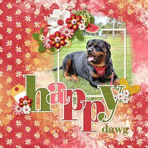 Happy Dawg