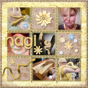 Nagi