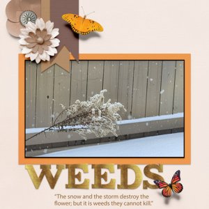 WEEDS