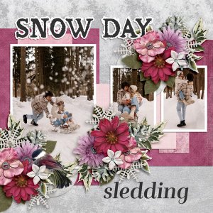 Snow Day