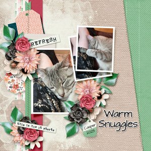 Warm Snuggles