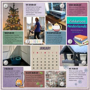 Weekly project January