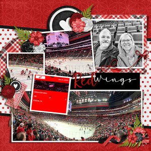 Red Wings Game for My Birthday
