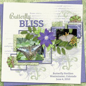 Butterfly BLISS