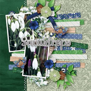Snowdrops