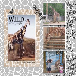 Giraffes