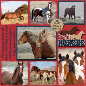 Wild Horses