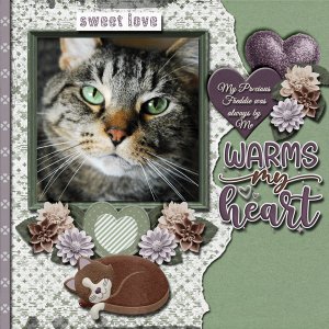 My Precious Love who plays over the Rainbow Bridge