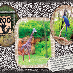 2025-01-wild about styles