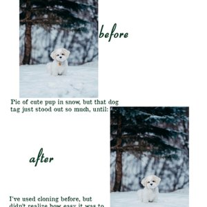 Cloning Non-Destructively