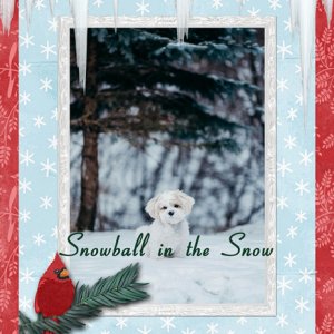 Snowball in the Snow
