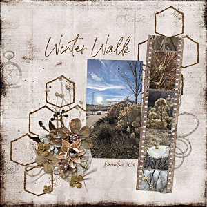 Winter Walk - Early December 2024