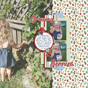 Growing Berries
