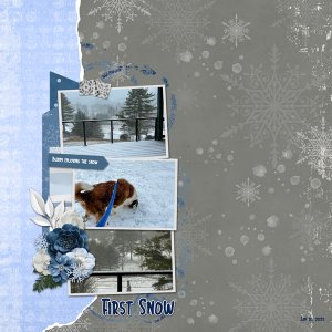 First Snow