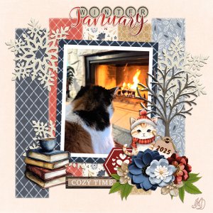 Amy's cozy fire