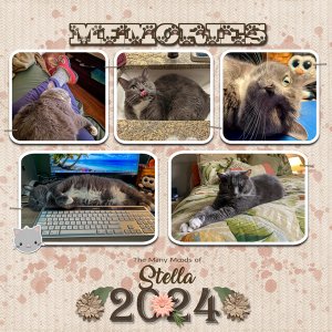 Moods of Stella