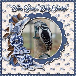 New Years Day Visitor