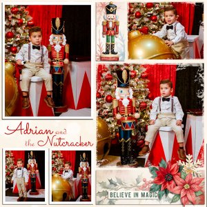 The nutcracker