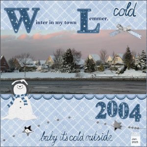 Jan.2025-Winter in my town...
