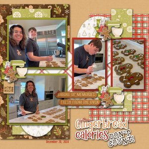 2025 January Template Challenge with Tinci Designs