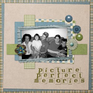 Picture Perfect Memories