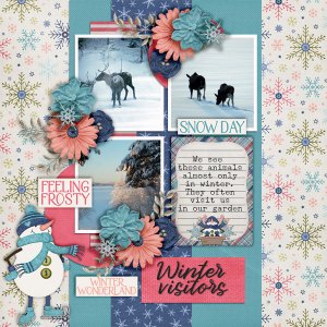 Winter-visitors3