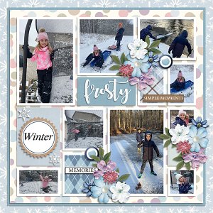 Frost January
