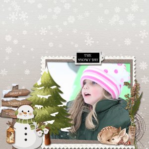 The Snowy Day