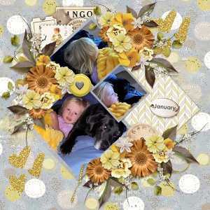 New Journey January-CarolW