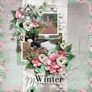 Winter Memories