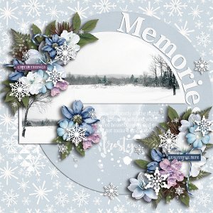 Winter Memories