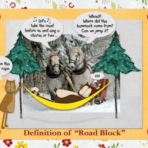 Definition of "Road Block"