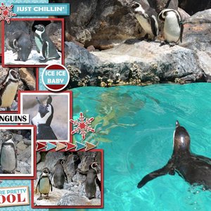 I Love Penguins