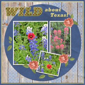WILD about Texas!