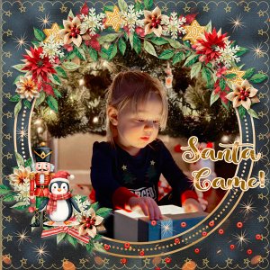 Santa Came