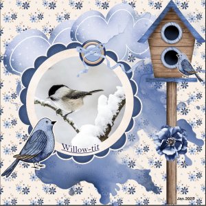 Jan.2025-Jumpstart Mini-Willow-tit