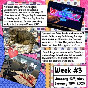2025 Project 365 Challenge - Week 3