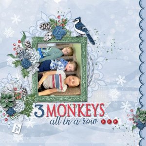 3 Monkeys