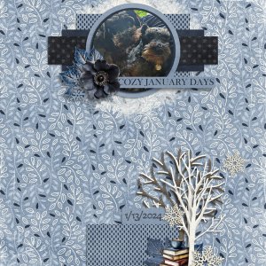2025 January Bundle by Designs by Connie Prince